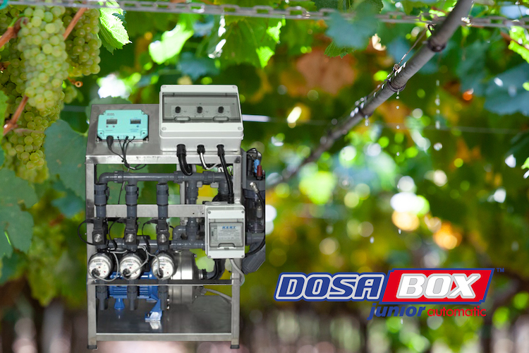 Il sistema DosaBox Junior Automatic rende la fertirrigazione semplice, affidabile e user friendly
